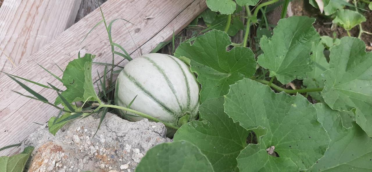 B&B L' Antica Macina Quiliano Dış mekan fotoğraf