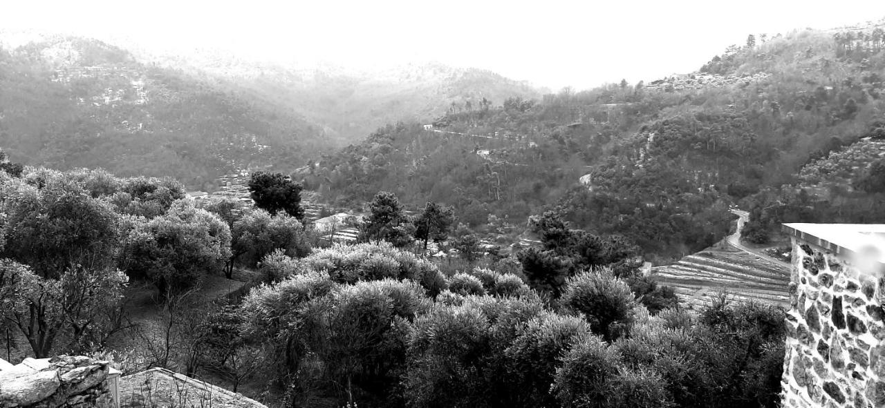B&B L' Antica Macina Quiliano Dış mekan fotoğraf