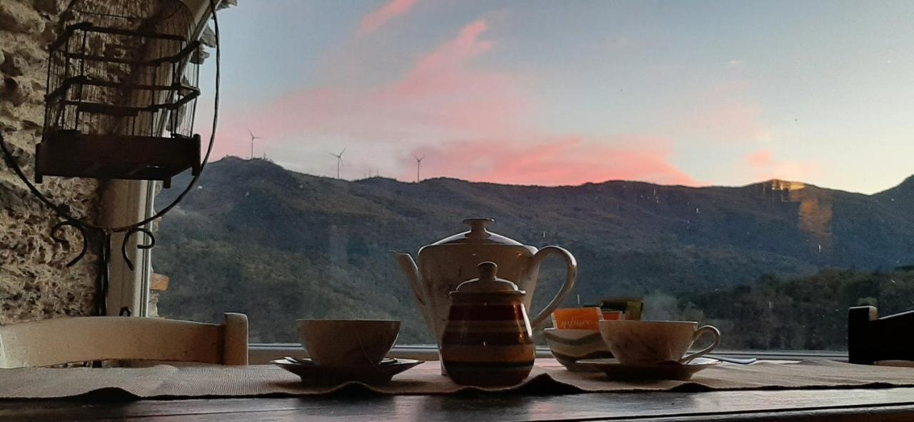 B&B L' Antica Macina Quiliano Dış mekan fotoğraf
