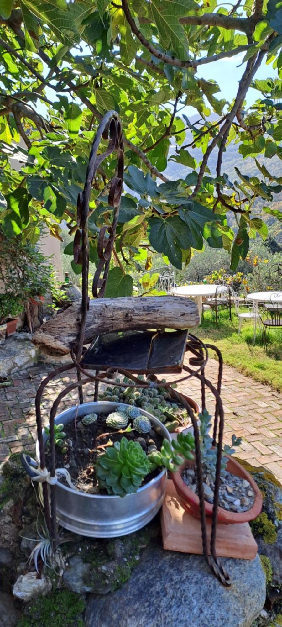 B&B L' Antica Macina Quiliano Dış mekan fotoğraf