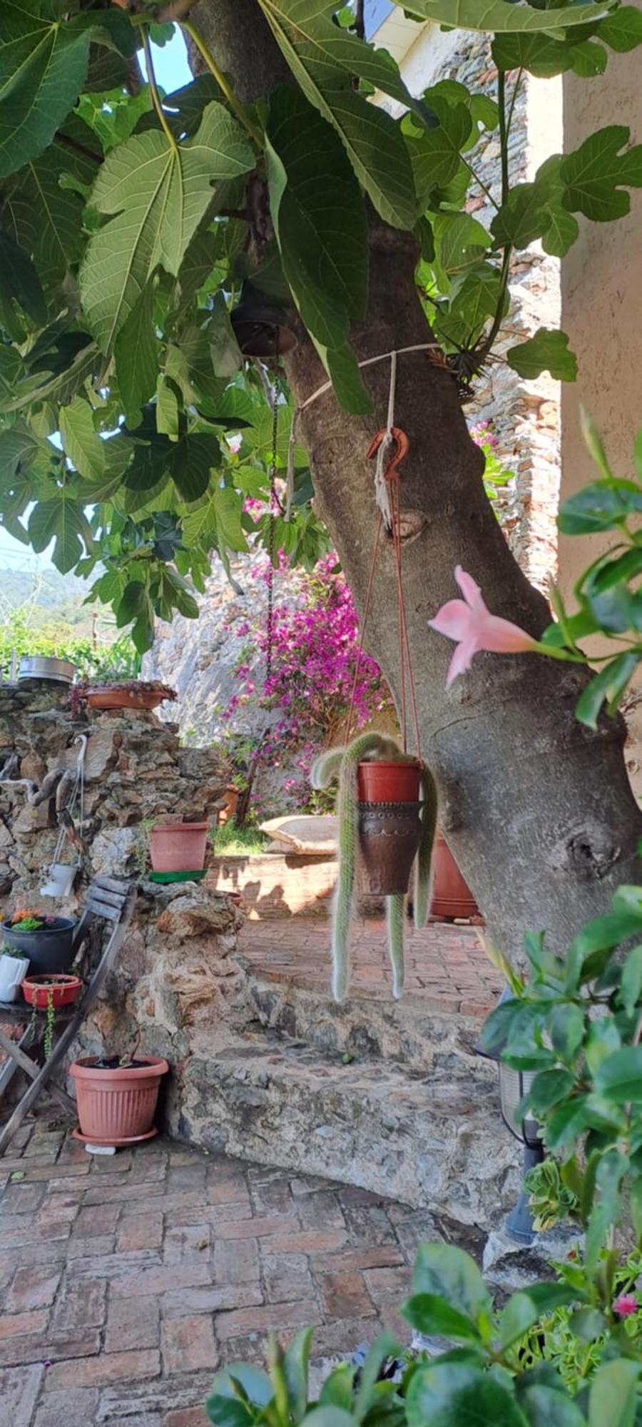 B&B L' Antica Macina Quiliano Dış mekan fotoğraf