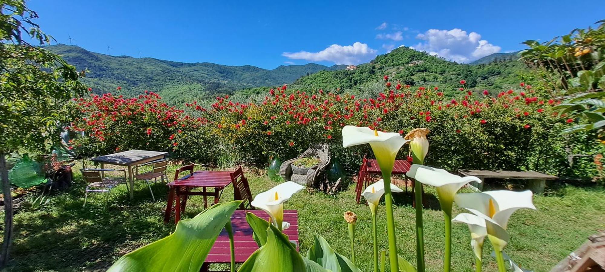 B&B L' Antica Macina Quiliano Dış mekan fotoğraf