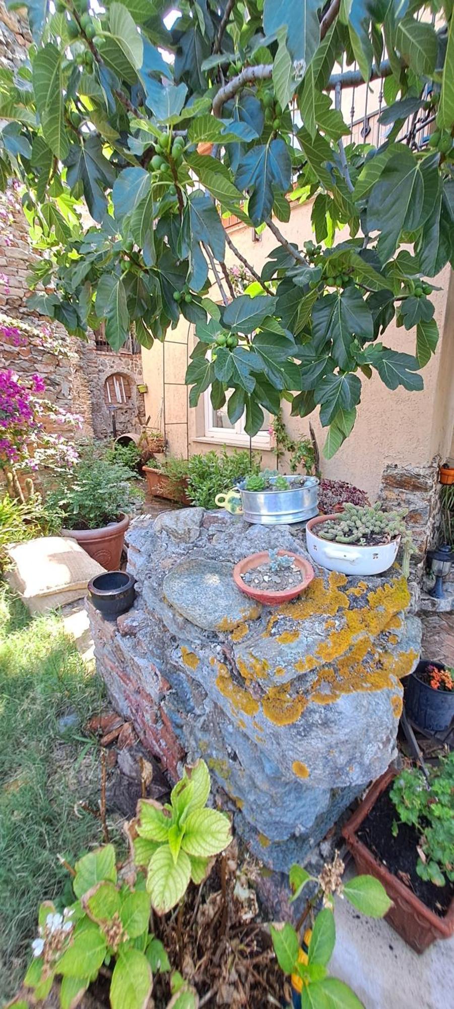 B&B L' Antica Macina Quiliano Dış mekan fotoğraf