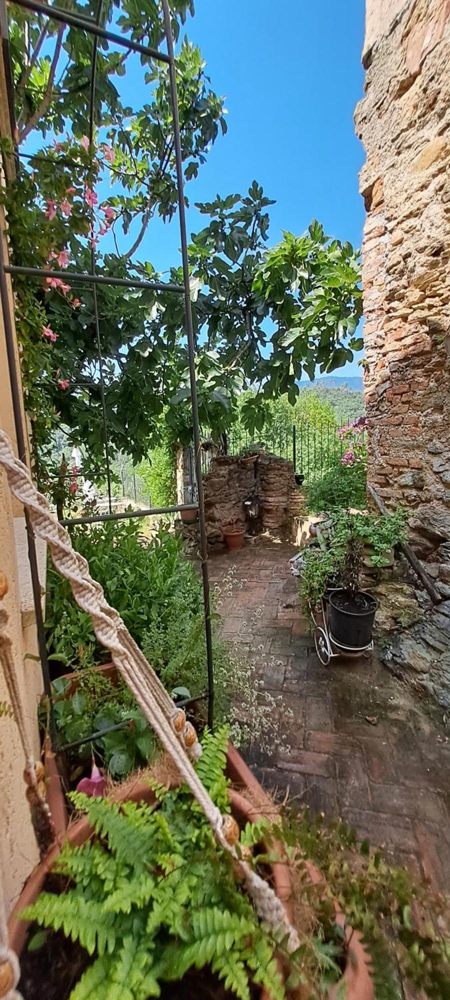 B&B L' Antica Macina Quiliano Dış mekan fotoğraf