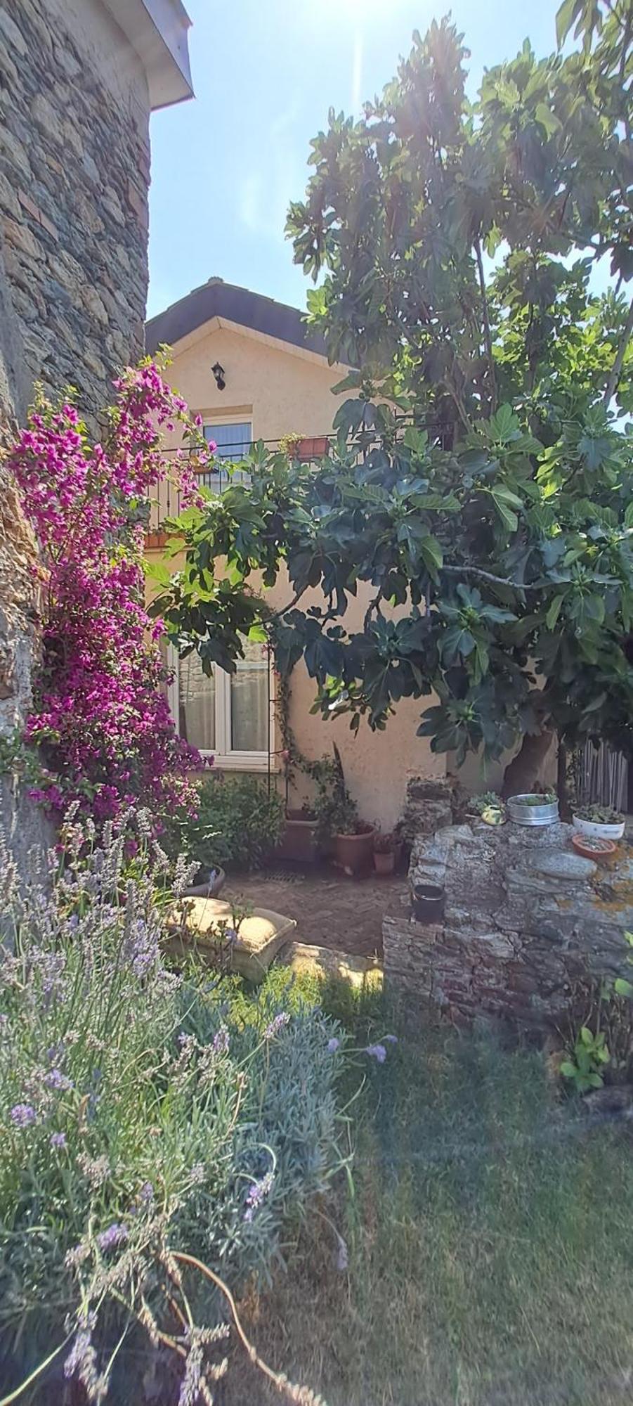 B&B L' Antica Macina Quiliano Dış mekan fotoğraf